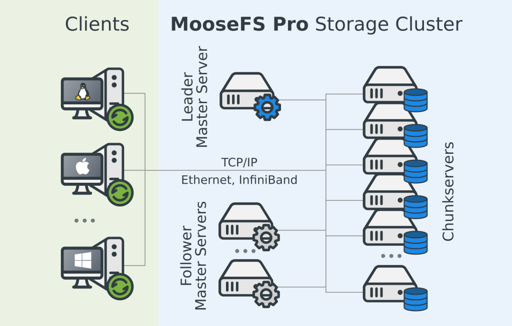 Diagram showing MooseFS cluster components: Master Servers, Chunkservers, Metaloggers, and Client machines