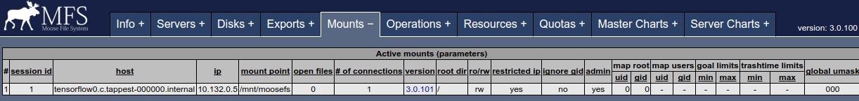 MooseFS CGI Mounts - Tensorflow machine mounted