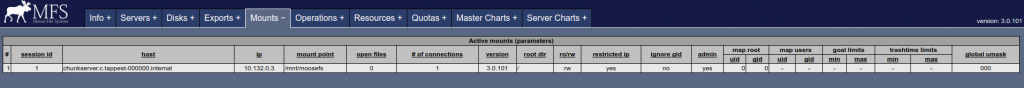 MooseFS Mounts in CGI